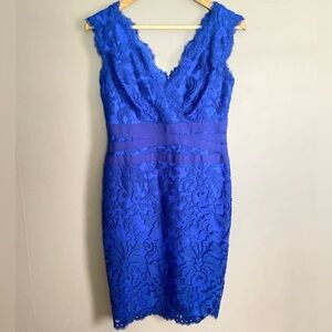 Tashashi shoji too blue lace sheath dress size 16Q